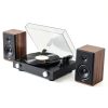 Tertullus Premium Speaker Spikes 316L Stainless Steel-7
