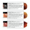 Spiceology Mini Jar Rub Collection Gourmet Spice Blends Gift-7