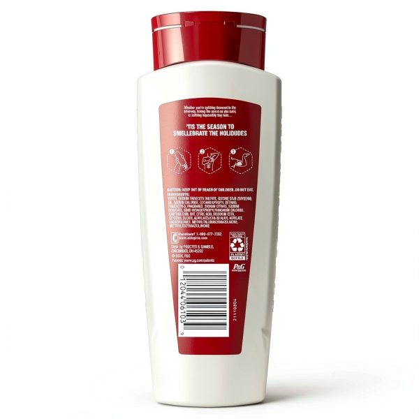 Old Spice Snickerdudel Holiday Pack Body Wash Deodorant-14